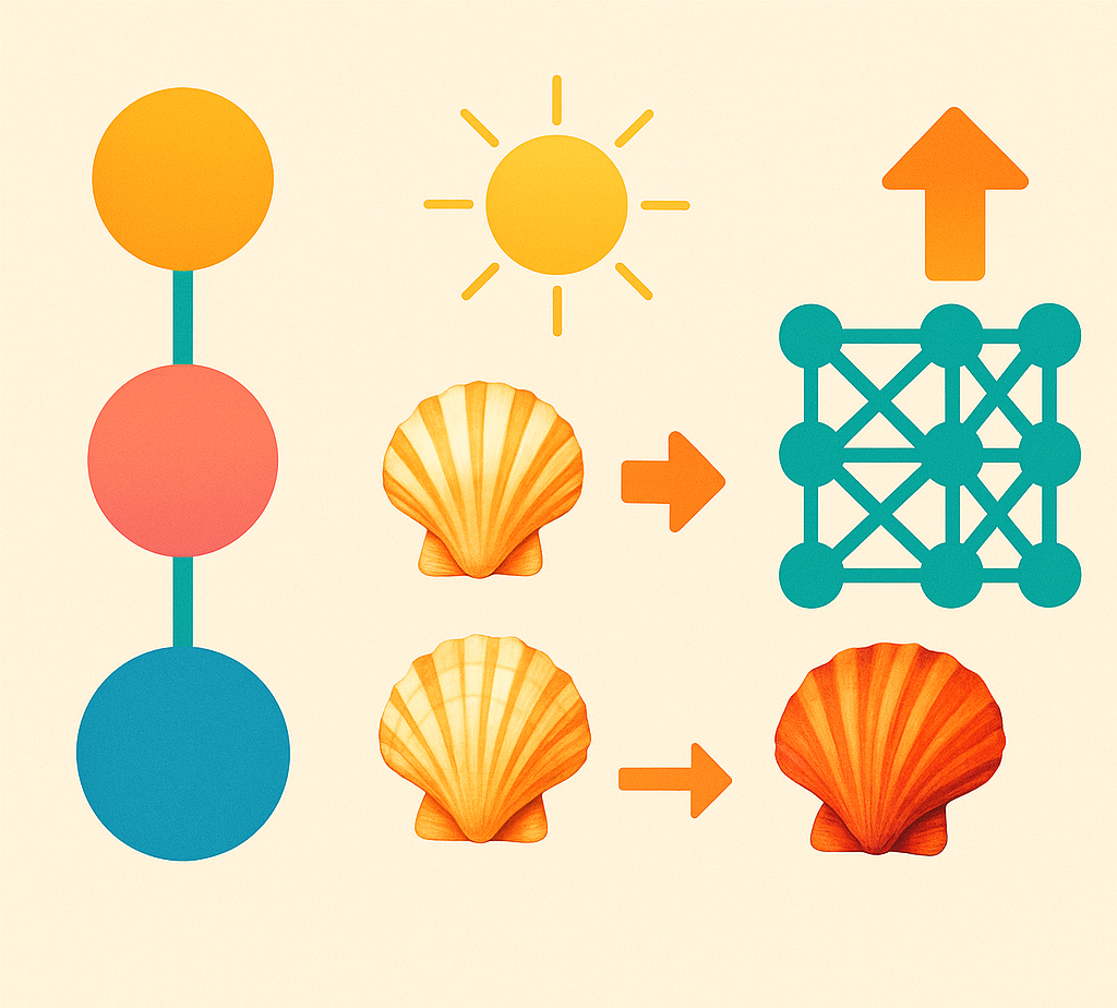 Optimizing Molluscan CNN Taxonomy: Balancing Hierarchy Simplification, Data Volume, and Augmentation for Improved Classification