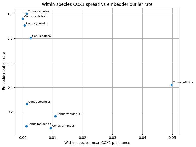 Within-species COX1 spread vs embedder outlier rate