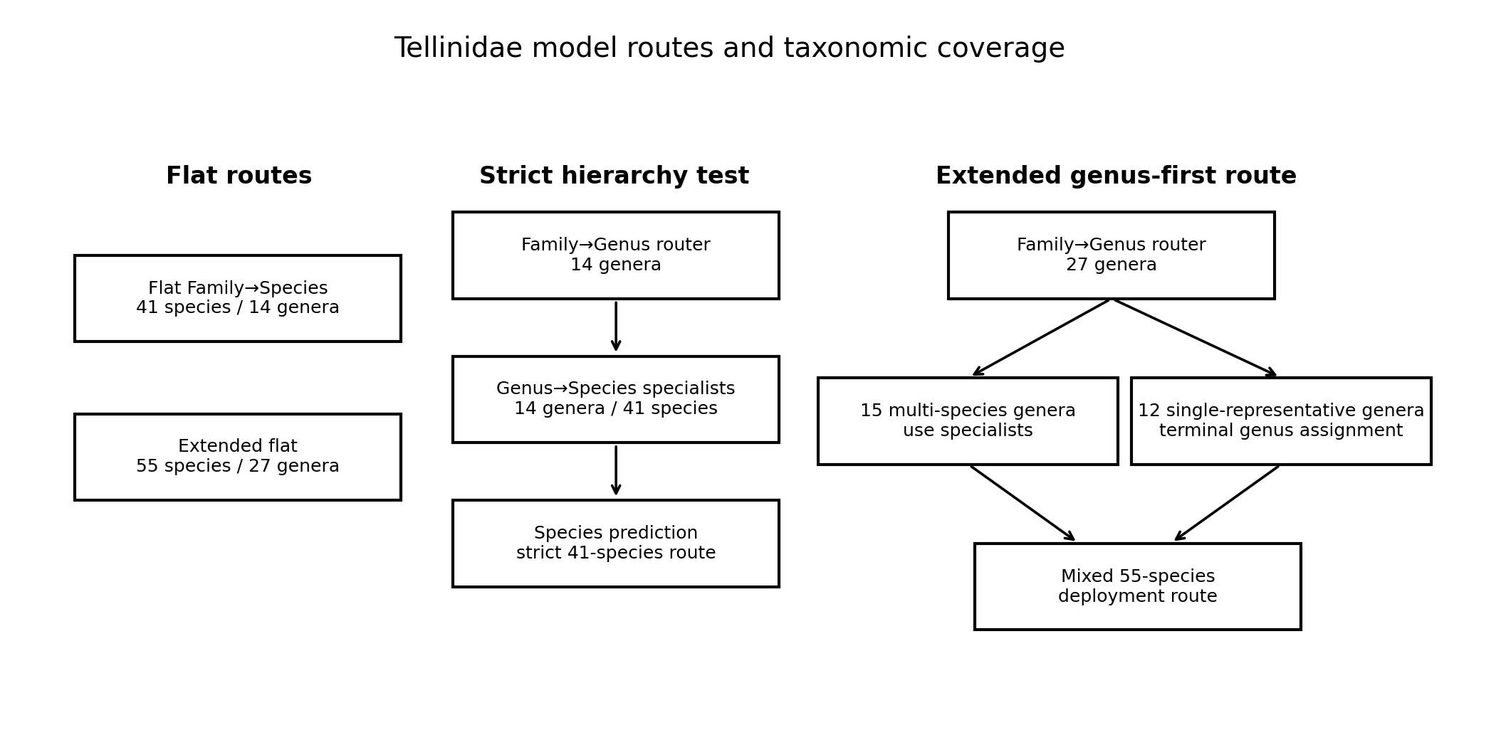 Model design and taxonomic coverage